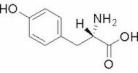 L-Tyrosine