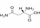 L-Asparagine Monohydrate