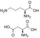 L-Ornithine L-Aspartate